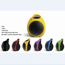 5.5"Mini Rechargeable Speaker F905